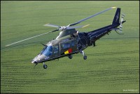 /album/demo-a109/img-4930-kopieren-lowres-jpg/